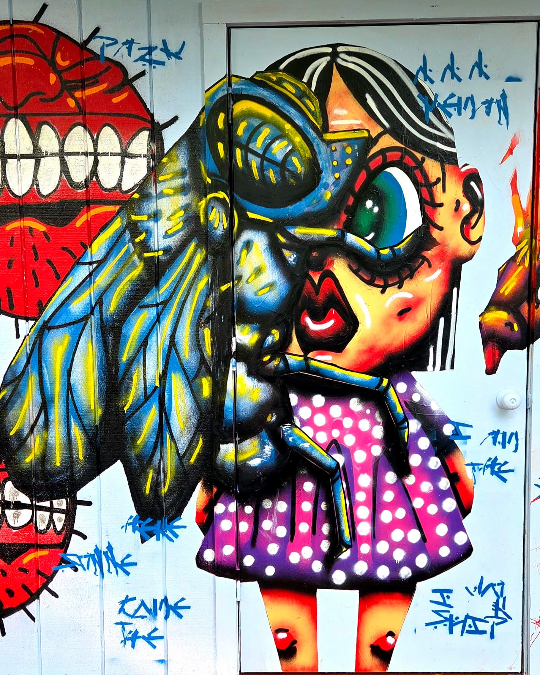colorfull lady and fly