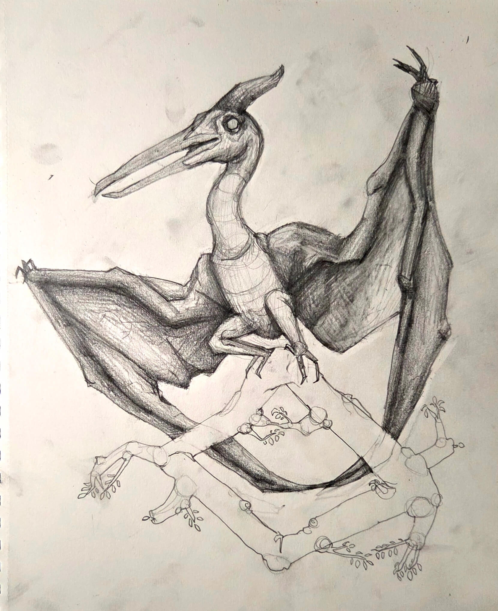 ptero