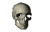 rotating skull